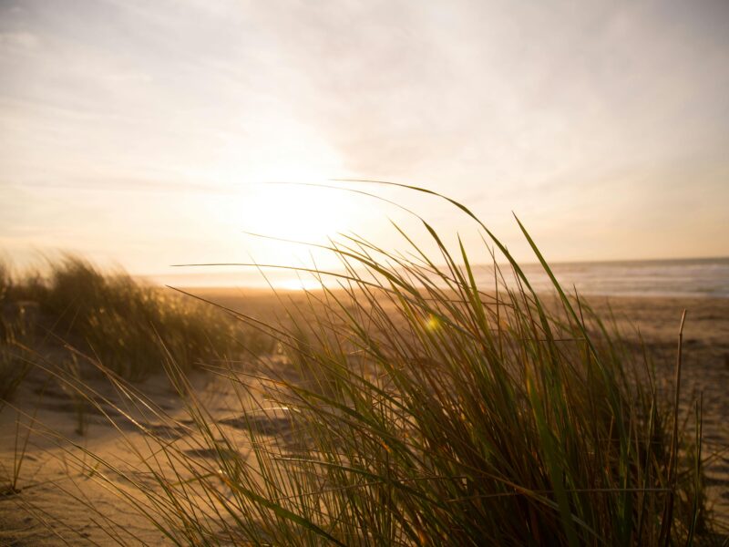 Kyla Vera Marshall-Jones