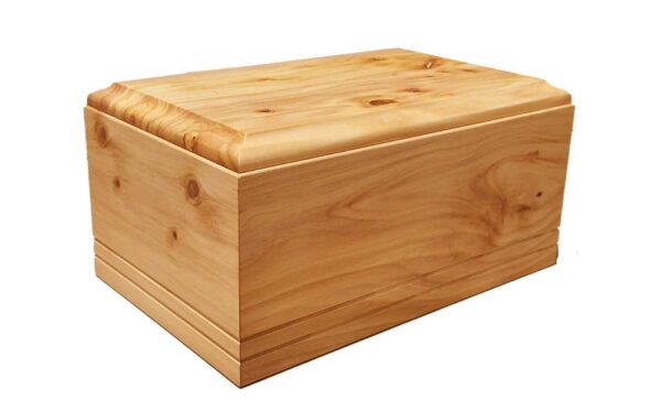 Macrocarpa Oiled Urn