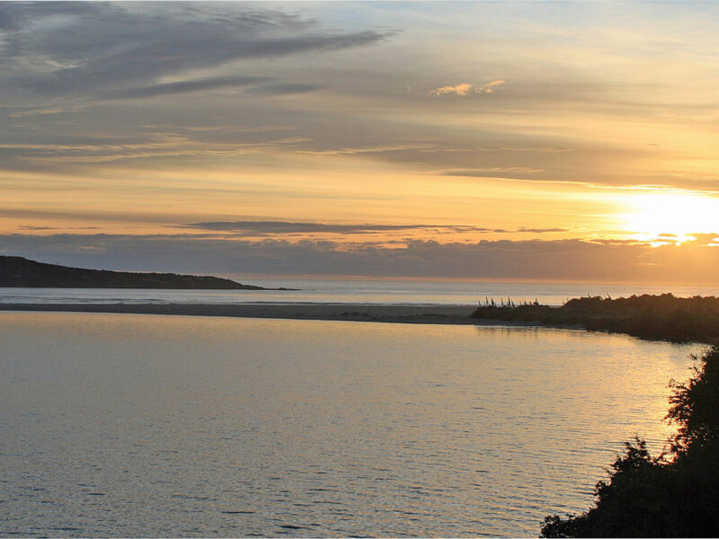 Robert William Lyall